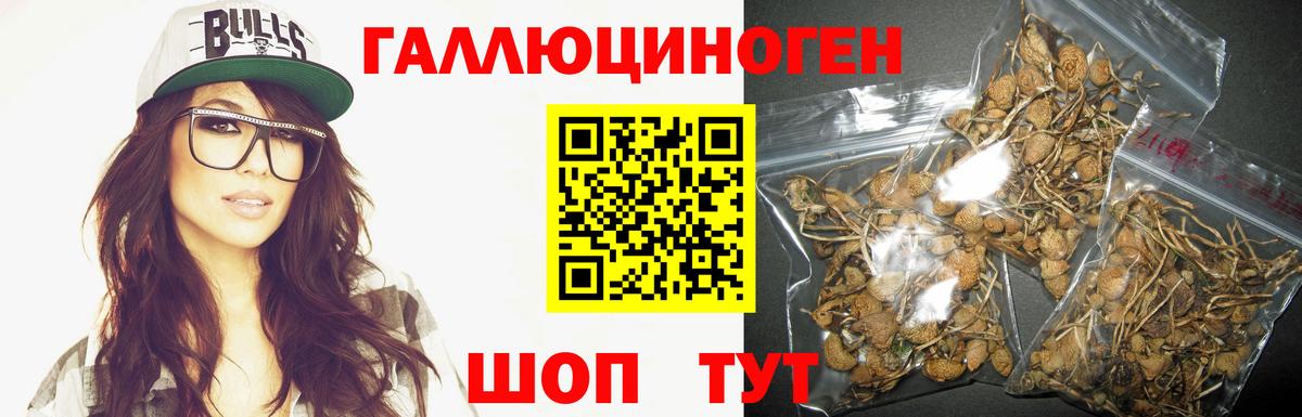 Барабинск  Псилоцибиновые грибы мухоморы  Галлюциногенные грибы Psilocybine cubensis  Вход с VPN 